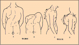 wan557fcbdb0bb033.97907680.gif wan557fcbdb0bb033.97907680.gif