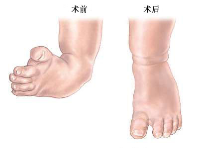 6.jpg 6.jpg