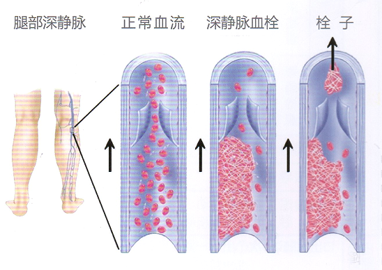 济南中德骨科.jpg 济南中德骨科.jpg