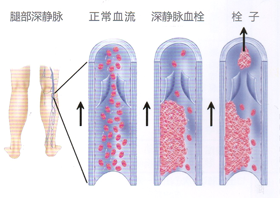 济南中德骨科.jpg