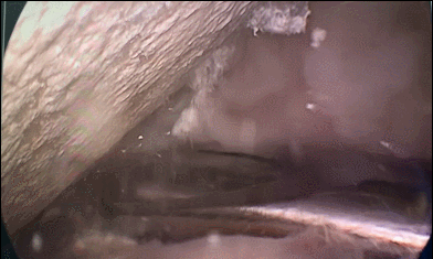 济南中德骨科医院.gif 济南中德骨科医院.gif
